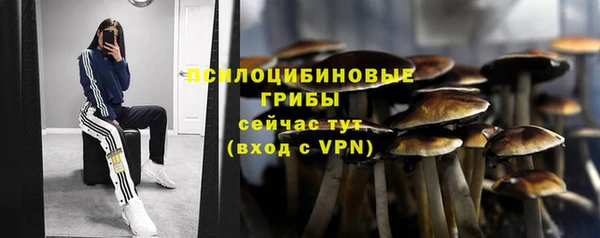 МДМА Белокуриха