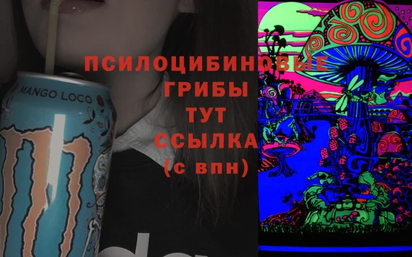 героин Богданович