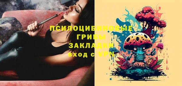 МДМА Белокуриха