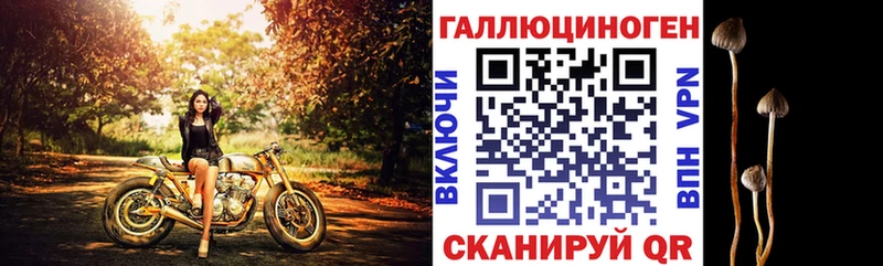 Псилоцибиновые грибы ЛСД  Володарск 